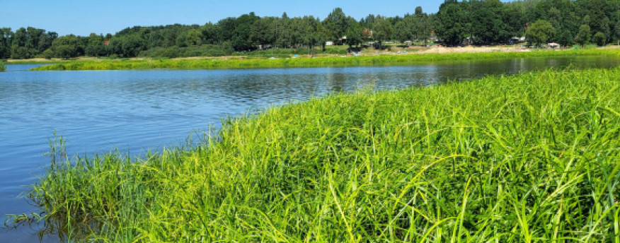 fotka 13 - Nad Strumykiem